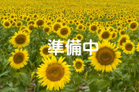 C[W